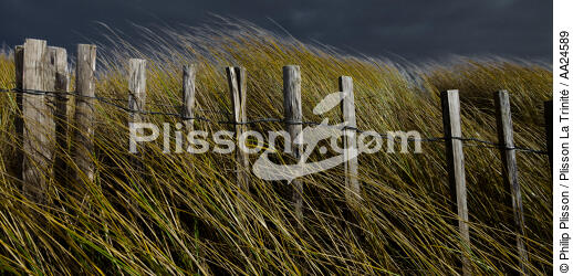The dunes Erdeven. - © Philip Plisson / Plisson La Trinité / AA24589 - Photo Galleries - Ganivelle