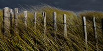 Les dunes d'Erdeven. © Philip Plisson / Plisson La Trinité / AA24589 - Nos reportages photos - Morbihan