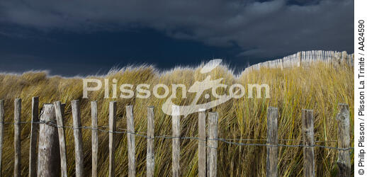 The dunes Erdeven. - © Philip Plisson / Plisson La Trinité / AA24590 - Photo Galleries - Dune