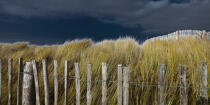 The dunes Erdeven. © Philip Plisson / Plisson La Trinité / AA24590 - Photo Galleries - Sky
