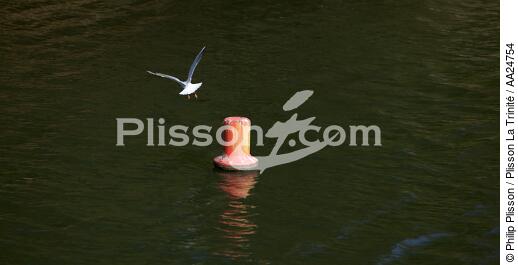 On Aven river. - © Philip Plisson / Plisson La Trinité / AA24754 - Photo Galleries - River