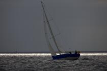 Sailing boat in the Bay of Concarneau. © Philip Plisson / Plisson La Trinité / AA24763 - Photo Galleries - Light