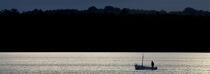 fishing boat in the Bay of Concarneau. © Philip Plisson / Plisson La Trinité / AA24765 - Photo Galleries - Backlit