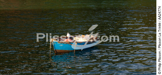 On the Belon river. - © Philip Plisson / Plisson La Trinité / AA24774 - Photo Galleries - Gull [small]