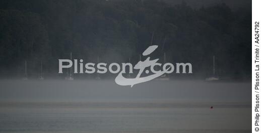 Mist on the Odet - © Philip Plisson / Plisson La Trinité / AA24792 - Photo Galleries - River