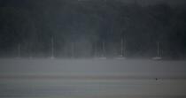Mist on the Odet © Philip Plisson / Plisson La Trinité / AA24792 - Photo Galleries - Mooring