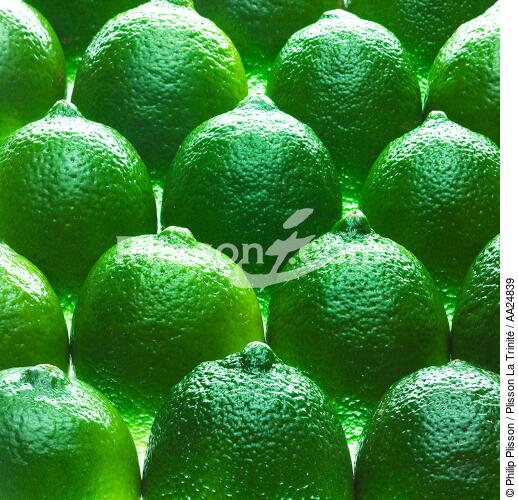 Citrons verts - © Philip Plisson / Plisson La Trinité / AA24839 - Nos reportages photos - Flore