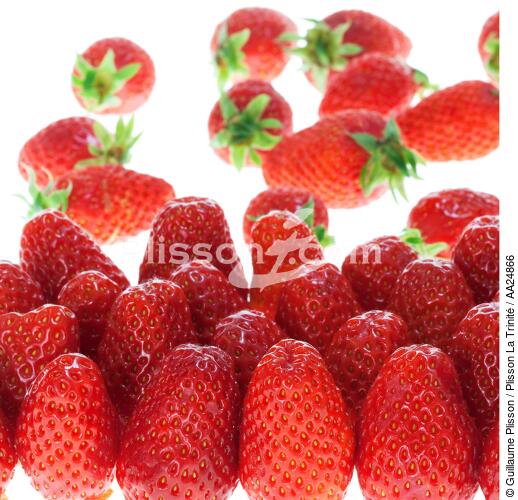 Strawberries. - © Guillaume Plisson / Plisson La Trinité / AA24866 - Photo Galleries - Fruit