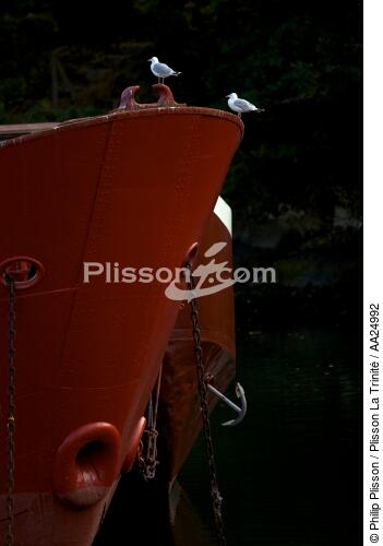 Port-Rhu in Douarnenez. - © Philip Plisson / Plisson La Trinité / AA24992 - Photo Galleries - Elements of boat