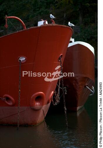 Port-Rhu in Douarnenez. - © Philip Plisson / Plisson La Trinité / AA24993 - Photo Galleries - Douarnenez