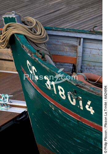 Port-Rhu in Douarnenez. - © Philip Plisson / Plisson La Trinité / AA24994 - Photo Galleries - Elements of boat