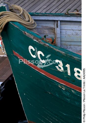 Port-Rhu in Douarnenez. - © Philip Plisson / Plisson La Trinité / AA24995 - Photo Galleries - Stem