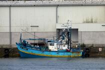 Douarnenez © Philip Plisson / Plisson La Trinité / AA25003 - Photo Galleries - Fishing vessel