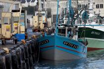Bateau de pêche au port de Douarnenez © Philip Plisson / Plisson La Trinité / AA25008 - Nos reportages photos - Bateau de pêche