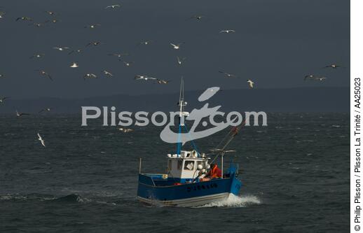 Fishing vessel at Douarnenez. - © Philip Plisson / Plisson La Trinité / AA25023 - Photo Galleries - Douarnenez