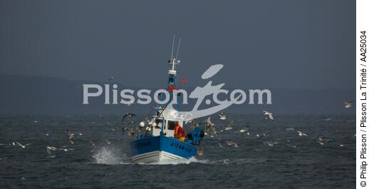 Fishing vessel at Douarnenez. - © Philip Plisson / Plisson La Trinité / AA25034 - Photo Galleries - Douarnenez
