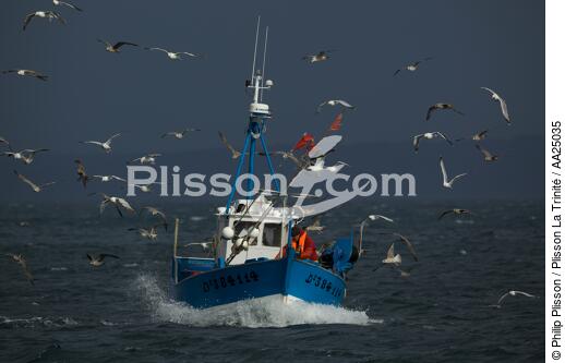 Fishing vessel at Douarnenez. - © Philip Plisson / Plisson La Trinité / AA25035 - Photo Galleries - Douarnenez