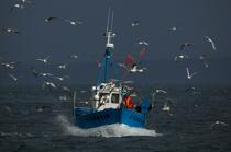 Fishing vessel at Douarnenez. © Philip Plisson / Plisson La Trinité / AA25035 - Photo Galleries - From Brest to Loctudy