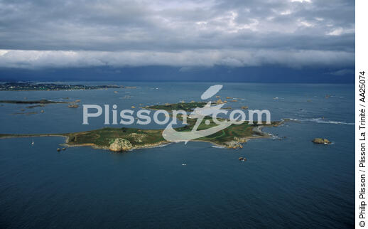 L'île d'Er à l'entrée du Jaudy. - © Philip Plisson / Plisson La Trinité / AA25074 - Nos reportages photos - Côtes d'Armor