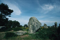 The Carnac stones. © Philip Plisson / Plisson La Trinité / AA25087 - Photo Galleries - Carnac alignments of standing stones [The]