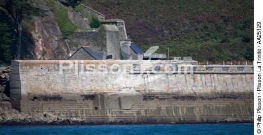 Le fort du Mengant dans le Goulet de Brest. - © Philip Plisson / Plisson La Trinité / AA25129 - Nos reportages photos - Fort