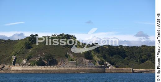The Fort of the Mengant in the Goulet de Brest. - © Philip Plisson / Plisson La Trinité / AA25148 - Photo Galleries - Fort