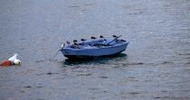 Tournepierre sur une barque. © Philip Plisson / Plisson La Trinité / AA25166 - Nos reportages photos - Bateau à rames