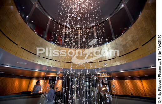 Le Boréal - © Philip Plisson / Plisson La Trinité / AA25170 - Photo Galleries - Interior