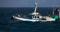 Return fishing Guilvinec. © Philip Plisson / Plisson La Trinité / AA25217 - Photo Galleries - Fishing vessel