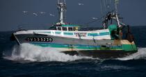 Return fishing Guilvinec. © Philip Plisson / Plisson La Trinité / AA25219 - Photo Galleries - Fishing vessel