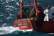 Retour de pêche au Guilvinec. © Philip Plisson / Plisson La Trinité / AA25221 - Nos reportages photos - Bateau de pêche