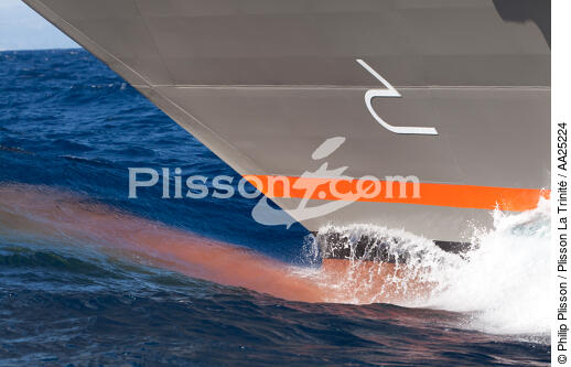 Le Boréal - © Philip Plisson / Plisson La Trinité / AA25224 - Photo Galleries - Elements of boat