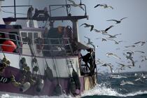 Return fishing Guilvinec. © Philip Plisson / Plisson La Trinité / AA25231 - Photo Galleries - Fishing vessel