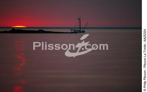 The Glénan archipelagos - © Philip Plisson / Plisson La Trinité / AA25324 - Photo Galleries - Island [29]