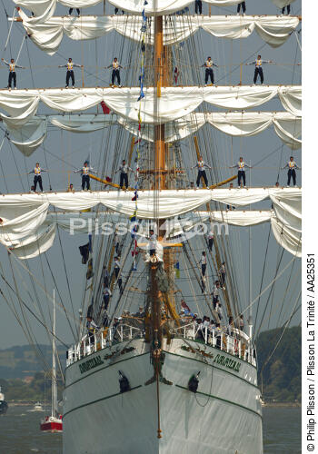 L'Armada de Rouen 2003 - © Philip Plisson / Plisson La Trinité / AA25351 - Nos reportages photos - Grand voilier