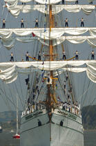 L'Armada de Rouen 2003 © Philip Plisson / Pêcheur d’Images / AA25351 - Nos reportages photos - Les grands voiliers