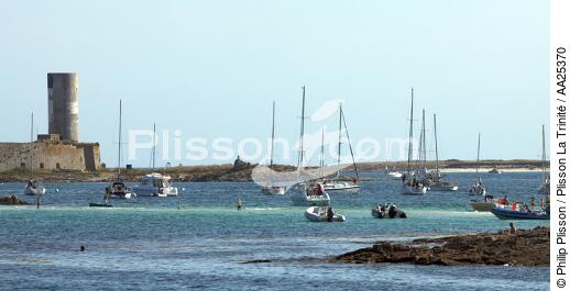 Glénan archipelagos - © Philip Plisson / Plisson La Trinité / AA25370 - Photo Galleries - Fort Cigogne