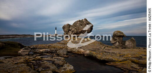 Sein island. - © Philip Plisson / Plisson La Trinité / AA25405 - Photo Galleries - Rock