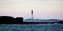 Sein island. © Philip Plisson / Plisson La Trinité / AA25435 - Photo Galleries - French Lighthouses