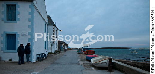 Les "cormorans bleus" de l'île de Sein. - © Philip Plisson / Plisson La Trinité / AA25441 - Nos reportages photos - Sein [Ile de]