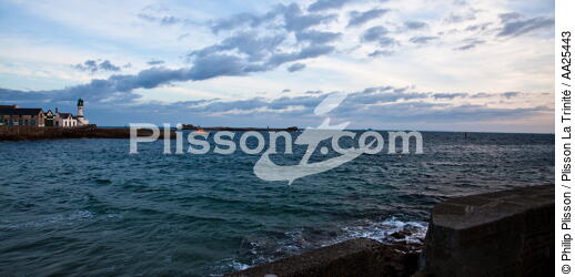 Sein island. - © Philip Plisson / Plisson La Trinité / AA25443 - Photo Galleries - Island [29]