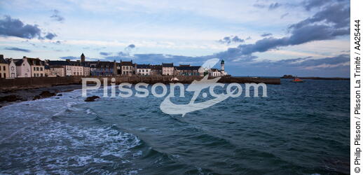 Sein island. - © Philip Plisson / Plisson La Trinité / AA25444 - Photo Galleries - Island [29]