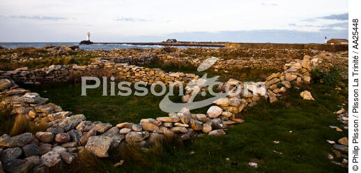 Sein island. - © Philip Plisson / Plisson La Trinité / AA25448 - Photo Galleries - Details