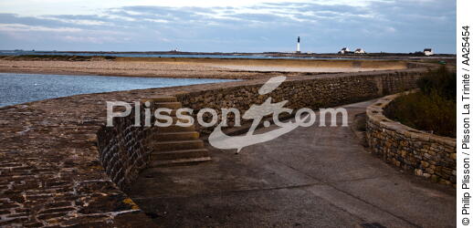 Sein island. - © Philip Plisson / Plisson La Trinité / AA25454 - Photo Galleries - Island [29]