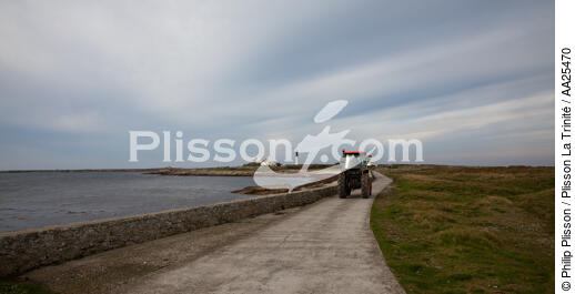 Sur l'île de Sein. - © Philip Plisson / Plisson La Trinité / AA25470 - Nos reportages photos - Tracteur