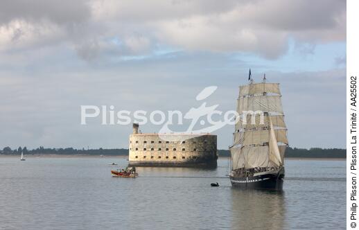 The Belem next to Fort-Boyard. - © Philip Plisson / Plisson La Trinité / AA25502 - Photo Galleries - Three-masted ship