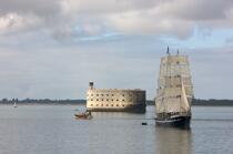 Fort-Boyard et le Belem © Philip Plisson / Plisson La Trinité / AA25502 - Nos reportages photos - Les Grands voiliers