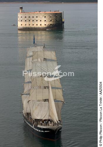 Fort-Boyard et le Belem - © Philip Plisson / Plisson La Trinité / AA25504 - Nos reportages photos - Grand voilier