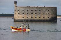 Fort-Boyard © Philip Plisson / Plisson La Trinité / AA25505 - Photo Galleries - Fishing vessel