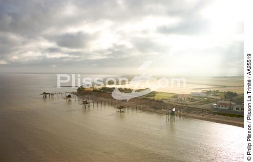 Aiguillon Bay - © Philip Plisson / Plisson La Trinité / AA25519 - Photo Galleries - Square fishing net